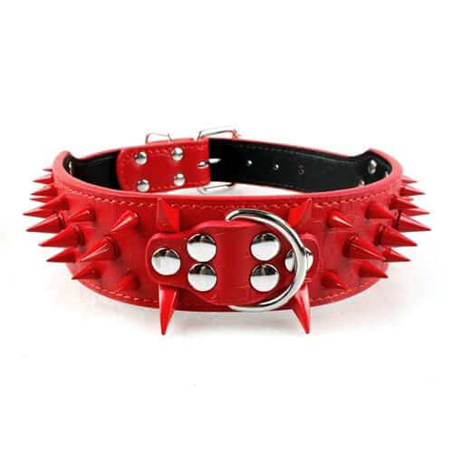 Spiked Leather Dog Collar Spiked Leather Dog Collar