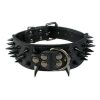 Spiked Leather Dog Collar Spiked Leather Dog Collar