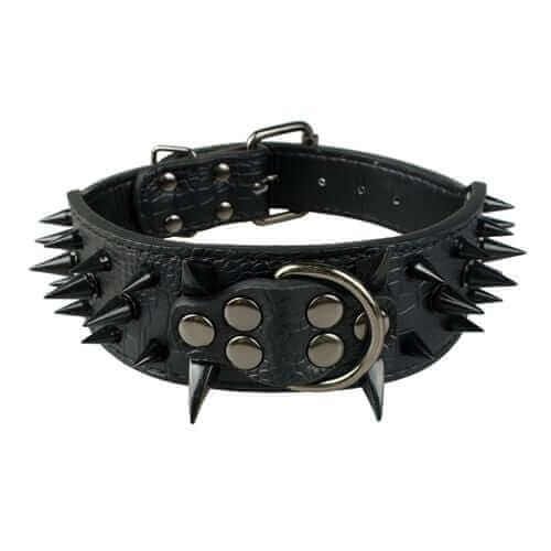 Spiked Leather Dog Collar Spiked Leather Dog Collar