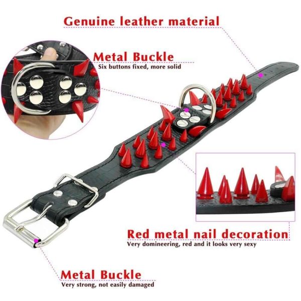Spiked Leather Dog Collar Spiked Leather Dog Collar