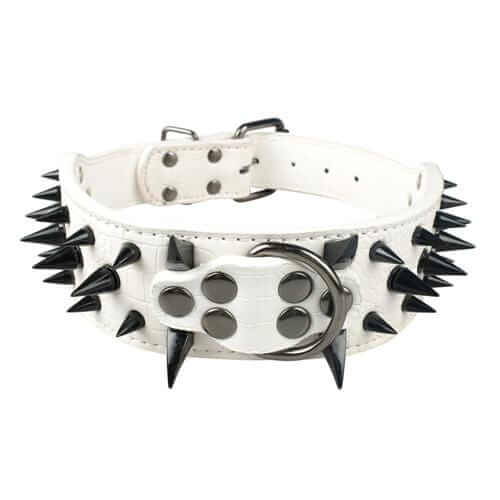 Spiked Leather Dog Collar Spiked Leather Dog Collar