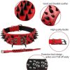 Spiked Leather Dog Collar Spiked Leather Dog Collar