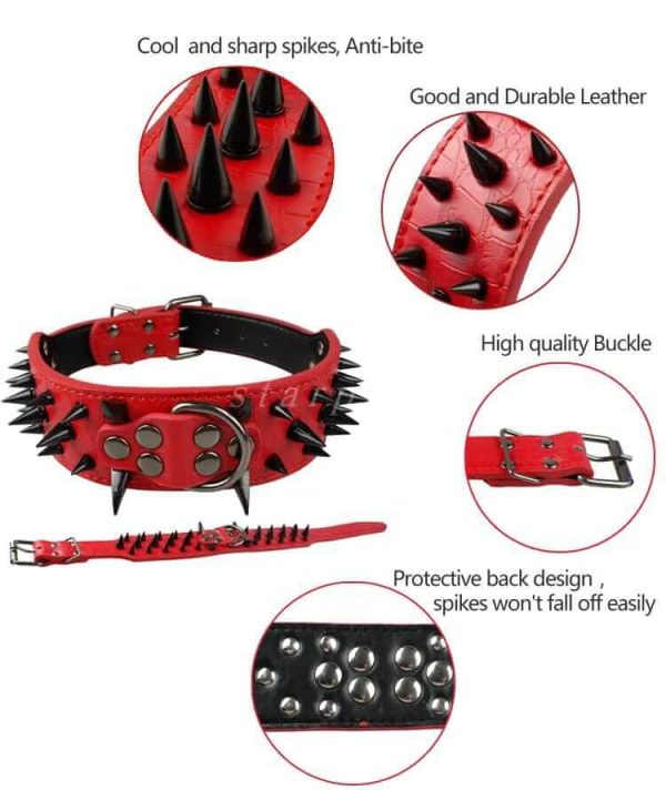 Spiked Leather Dog Collar Spiked Leather Dog Collar