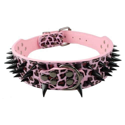 Spiked Leather Dog Collar Spiked Leather Dog Collar