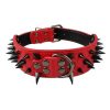 Spiked Leather Dog Collar Spiked Leather Dog Collar