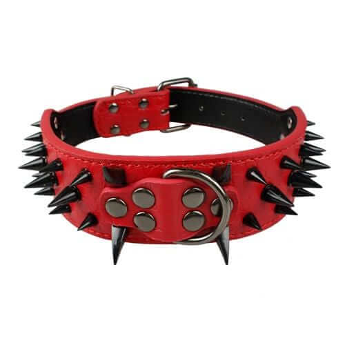 Spiked Leather Dog Collar Spiked Leather Dog Collar