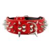 Spiked Leather Dog Collar Spiked Leather Dog Collar