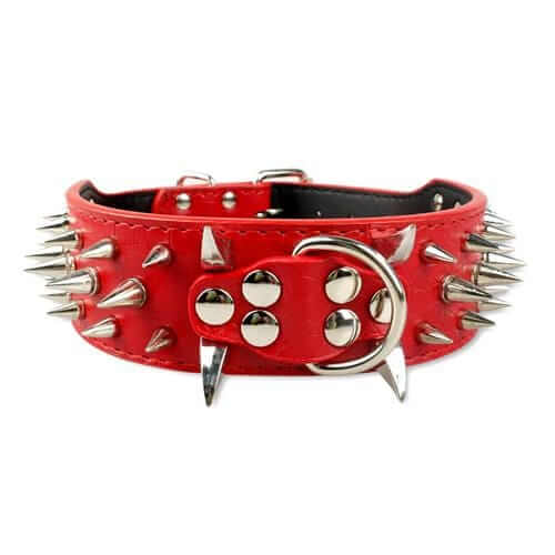 Spiked Leather Dog Collar Spiked Leather Dog Collar