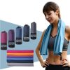 Sport Microfiber Towel: Quick-Drying Absorbent