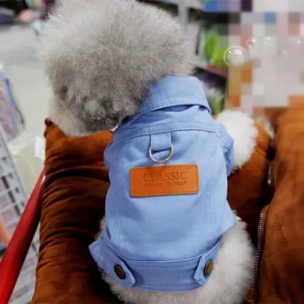 Spring Dog Suit Outfits Denim Coat Spring Dog Suit Outfits Denim Coat