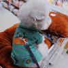 Spring Dog Suit Outfits Denim Coat Spring Dog Suit Outfits Denim Coat