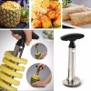 Stainless Steel Pineapple Peele Stainless Steel Pineapple Peele