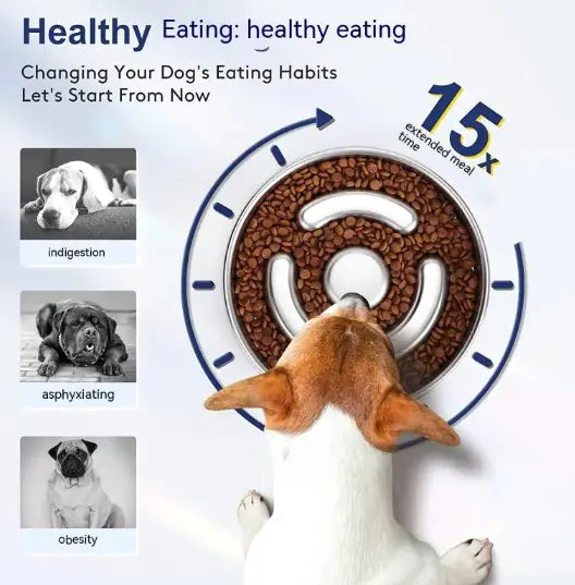 Stainless Steel Slow Feeding Pet Bowl Stainless Steel Slow Feeding Pet Bowl