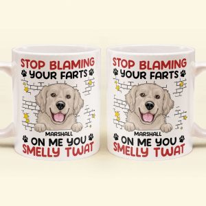 Stop Blaming Your Farts On Me You Smelly Twat Dog Funny - Personalized Mug