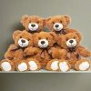 Stuffed Bear Plush Toy Set Stuffed Bear Plush Toy Set