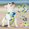 Summer Vibes Dog Harness & Leash Bundle Summer Vibes Dog Harness & Leash Bundle