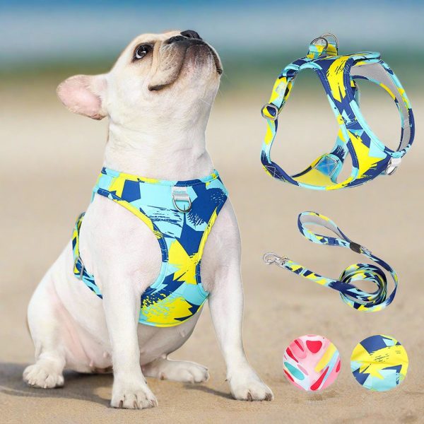 Summer Vibes Dog Harness & Leash Bundle Summer Vibes Dog Harness & Leash Bundle