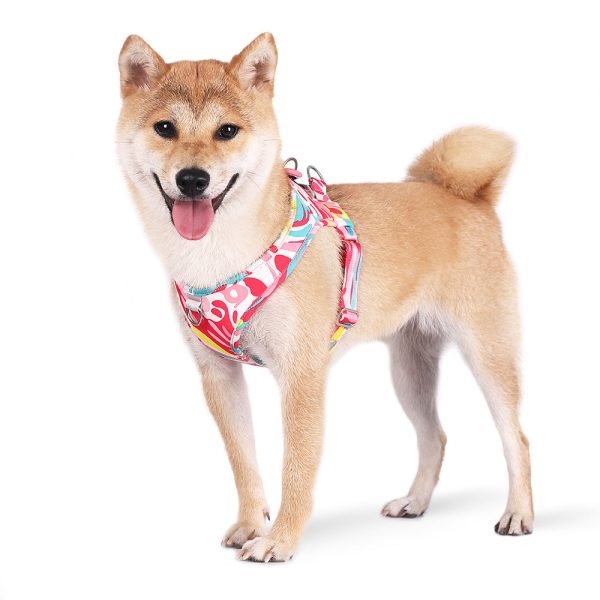 Summer Vibes Dog Harness & Leash Bundle Summer Vibes Dog Harness & Leash Bundle
