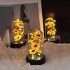 Sunflower Light