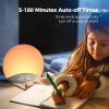Sunrise Alarm Clock Sunrise Alarm Clock