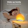 Sunrise Alarm Clock Sunrise Alarm Clock