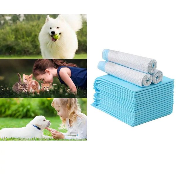 Super Absorbent Pet Diaper Super Absorbent Pet Diaper