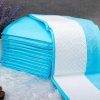 Super Absorbent Pet Diaper Super Absorbent Pet Diaper