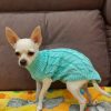 Sweater for Small Dogs Sweater for Small Dogs