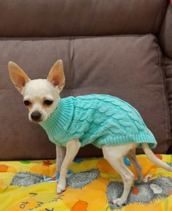 Sweater for Small Dogs Sweater for Small Dogs