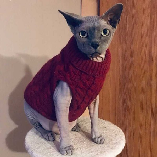 Sweater for Small Dogs Sweater for Small Dogs