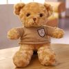 Sweater Teddy Bear Plush 30 cm Sweater Teddy Bear Plush 30 cm