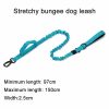 Tactical Dog Collar & Leash Tactical Dog Collar & Leash
