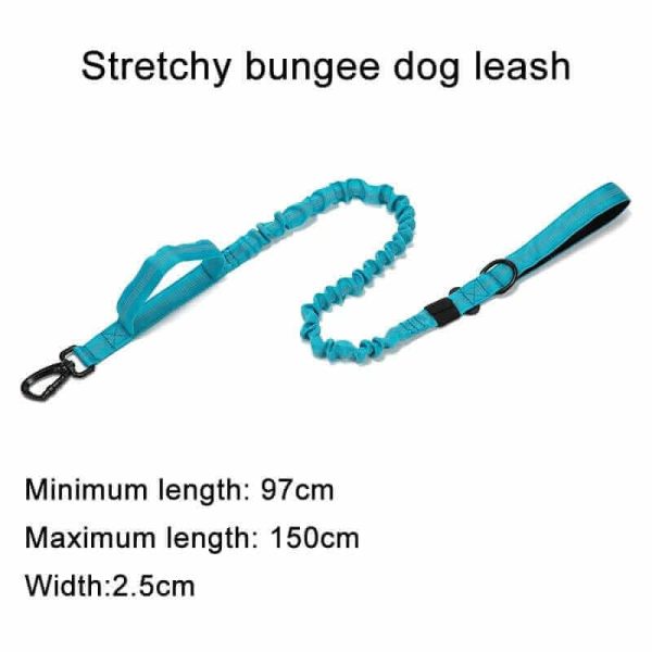 Tactical Dog Collar & Leash Tactical Dog Collar & Leash