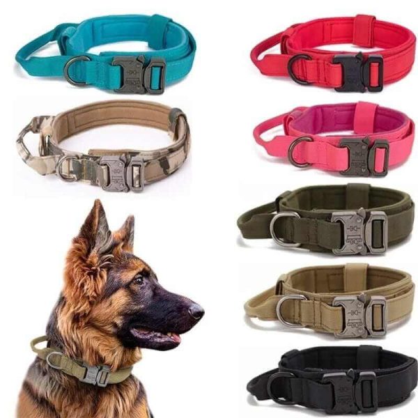 Tactical Dog Collar & Leash Tactical Dog Collar & Leash