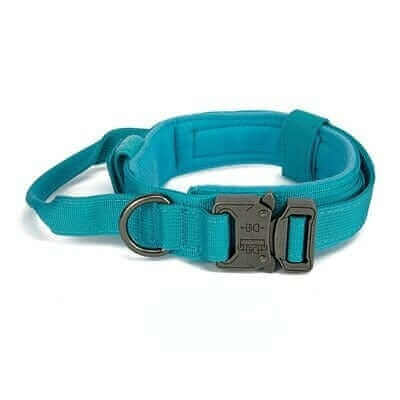 Tactical Dog Collar & Leash Tactical Dog Collar & Leash