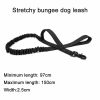 Tactical Dog Collar & Leash Tactical Dog Collar & Leash