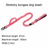 Tactical Dog Collar & Leash Tactical Dog Collar & Leash