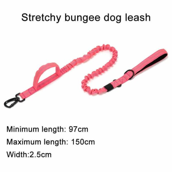 Tactical Dog Collar & Leash Tactical Dog Collar & Leash