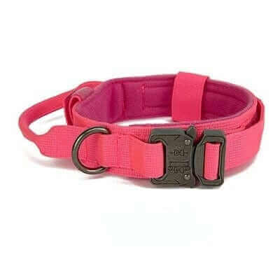 Tactical Dog Collar & Leash Tactical Dog Collar & Leash