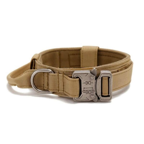 Tactical Dog Collar & Leash Tactical Dog Collar & Leash