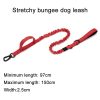 Tactical Dog Collar & Leash Tactical Dog Collar & Leash