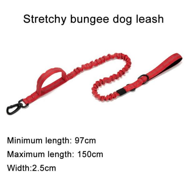 Tactical Dog Collar & Leash Tactical Dog Collar & Leash