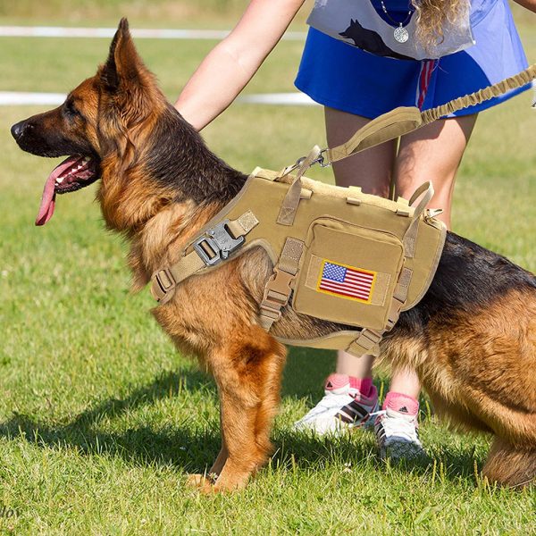 Tactical Military Dog Harness Set - Vest, Leash, Pouches Tactical Military Dog Harness Set - Vest, Leash, Pouches