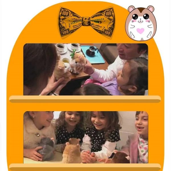 Talking Hamster Plush Toy - Record & Repeat Fun for Kids Talking Hamster Plush Toy - Record & Repeat Fun for Kids