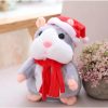 Talking Hamster Plush Toy - Record & Repeat Fun for Kids Talking Hamster Plush Toy - Record & Repeat Fun for Kids