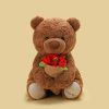 Teddy Bear with Roses Plush Toy Romantic Gift Teddy Bear with Roses Plush Toy Romantic Gift