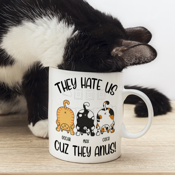 They Hate Us Cuz They Anus Personalized Cat Mug, Gift For Cat Lovers They Hate Us Cuz They Anus Personalized Cat Mug, Gift For Cat Lovers