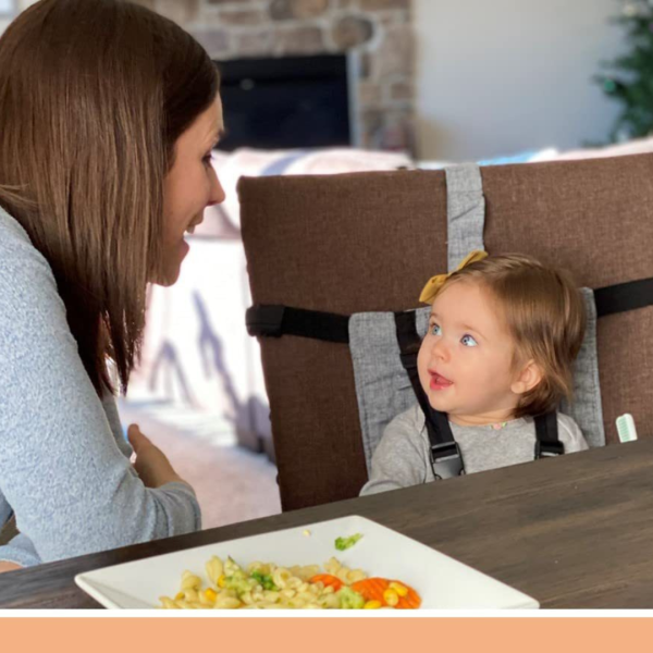 Travel High Chair for Babies Travel High Chair for Babies