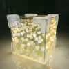 Tulip Flower Lamp Tulip Flower Lamp
