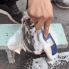 Ultimate Shoe Foam Cleaner Ultimate Shoe Foam Cleaner